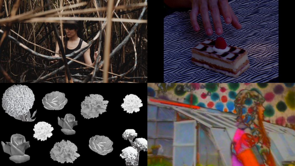 Four images set into a grid, stills from the program of moving images featuring, Kim-Sanh Châu, Melina Kiyomi Coumas, Kim Kielhofner, and Lydia Moyer. 