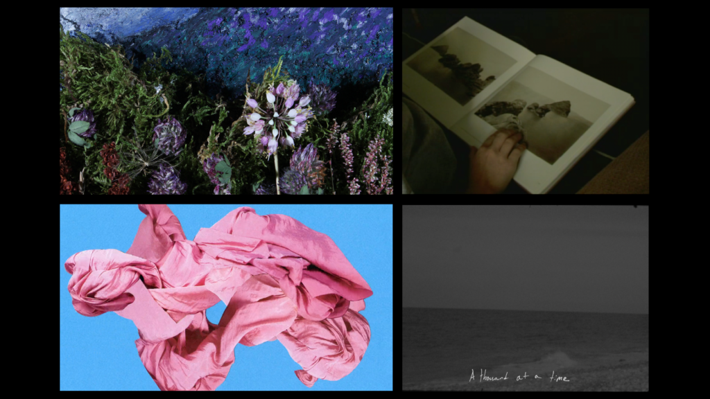 Promotional image, grid of four stills from the program, black background.